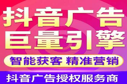 抖音信息流代理在电商行业的应用案例分析